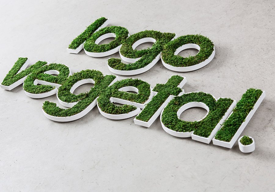 Lettre et Logo Mousse de bois
